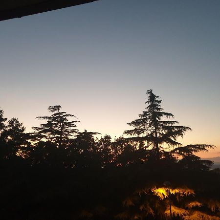Alloggio Turistico Montefiascone Kültér fotó