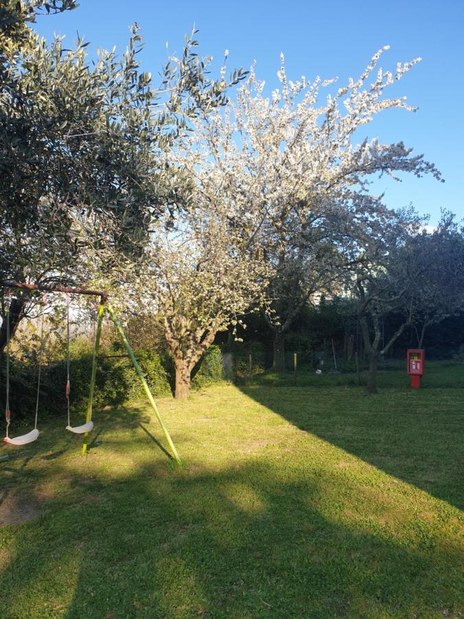 Alloggio Turistico Montefiascone Kültér fotó