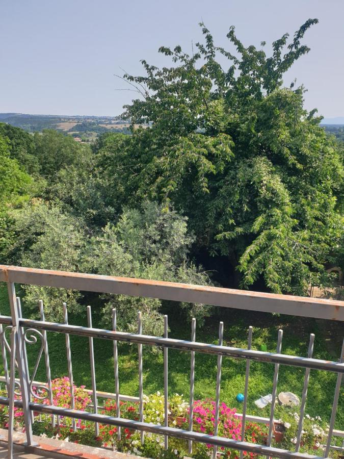 Alloggio Turistico Montefiascone Kültér fotó